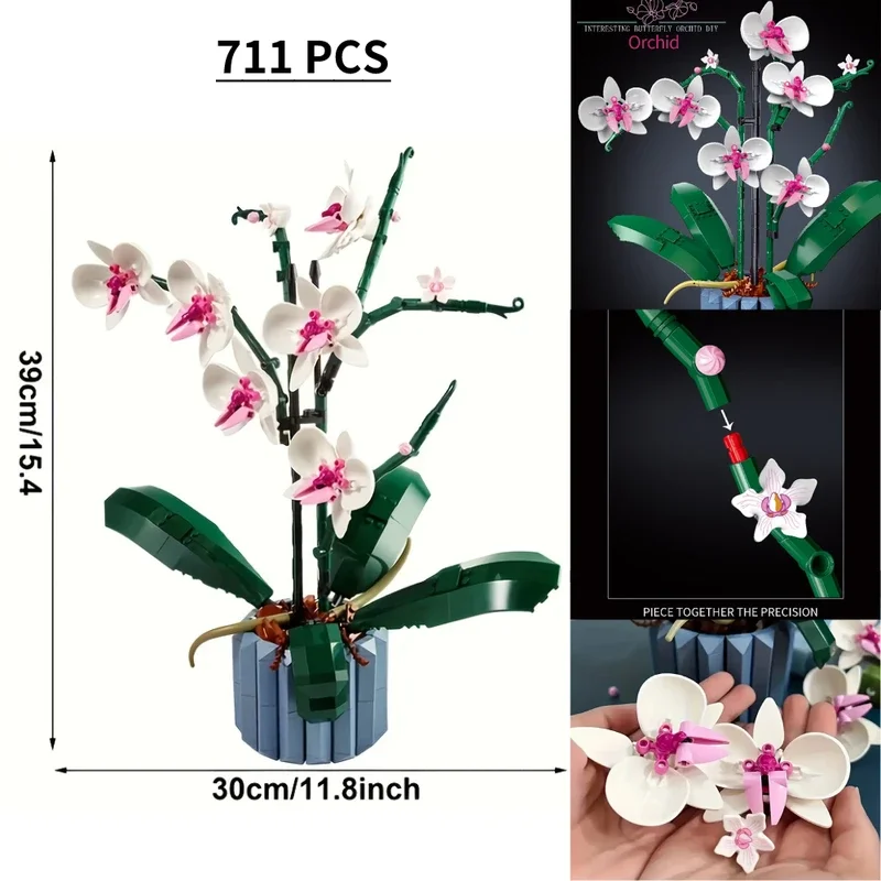 Budovanie výzdoby kytice kvetov orchideí pre dospelých; Postavte si orchideový displej pre dom alebo kanceláriu