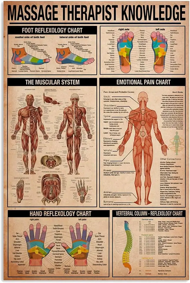 Buoraev Massage Reference Infographics Metal Tin Signs Masáž terapeuta poznatkov čítanie plagátov masáž salóny
