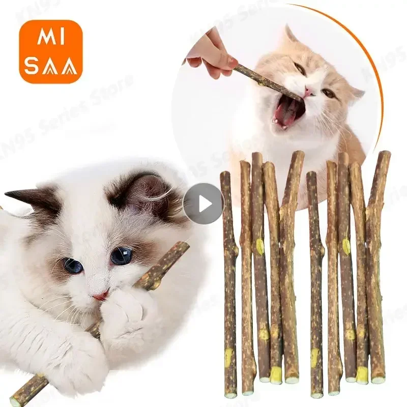 Cat Molar Stick Prírodné catnip zuby zuby zubná pasta Silvervine Cat Snack palica Služba samovyčanie mačiatka žuvacie hračky pre domáce zvieratá