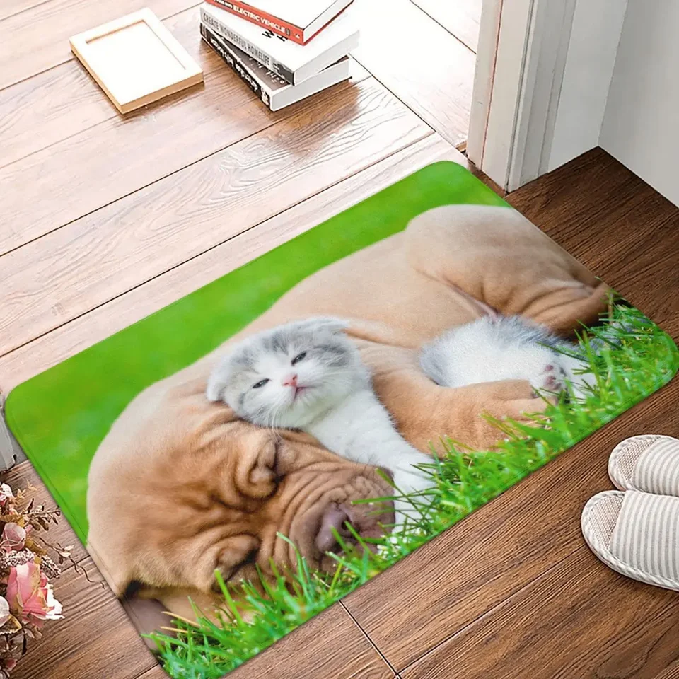 CAT roztomilý kawaii zvieracie zvieratá, ktoré nekĺzne šmykľavka buldog mačiatko mačiatko koberec obývacia izba spál