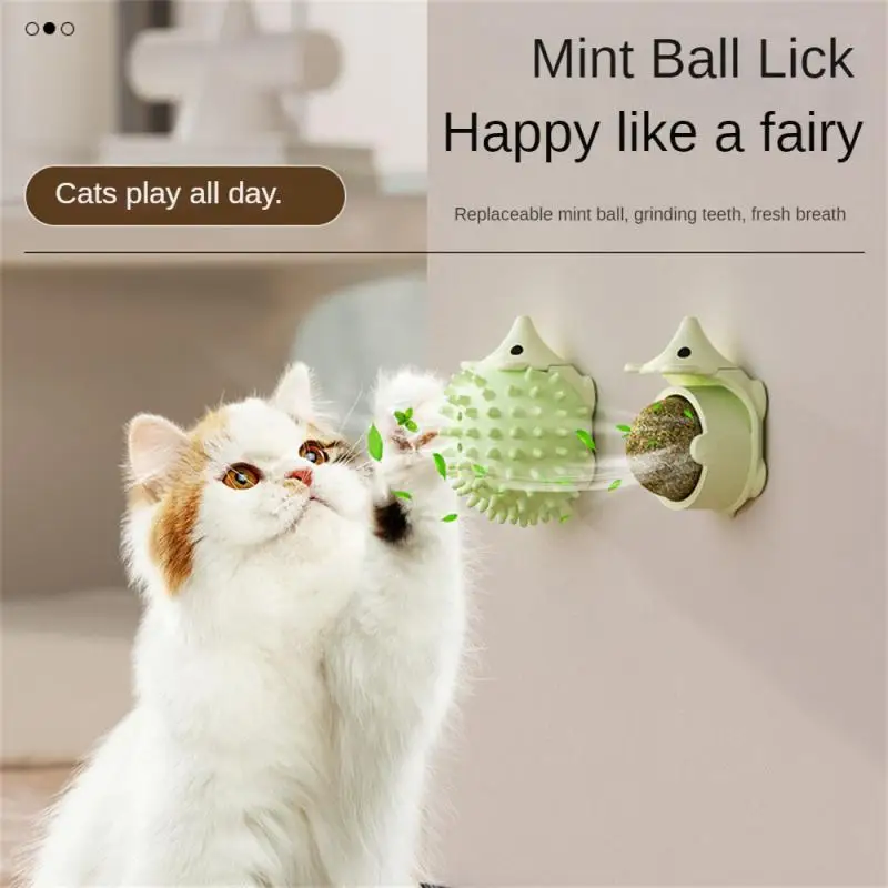 Catnip mačka hedgehog tvar stena tyčinky na loptičke hračky Scratchers Cat Training Galls to Cat Grass Snack Cat Supply Cat Hračky