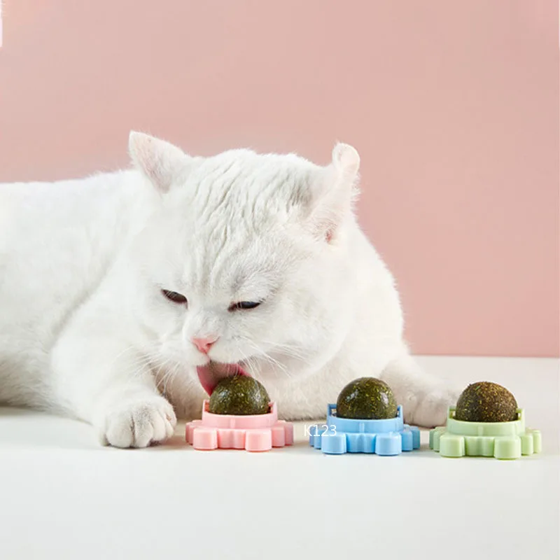 Catnip stena lopta lízanie občerstvenie zdravá výživa guľôčkové zuby čistenie hračky pre mačky Čisté ústa propagujte trávenie v interiéri