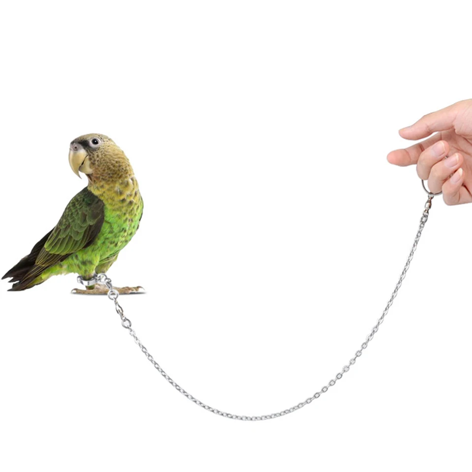 Cockatiel Foot Ring Multi-Veľkosť členka s Parkoviami zámku Parkovia Parrot Parrot Hračka Outdoor Walking Flying Actle Doplnky domácich miláčikov