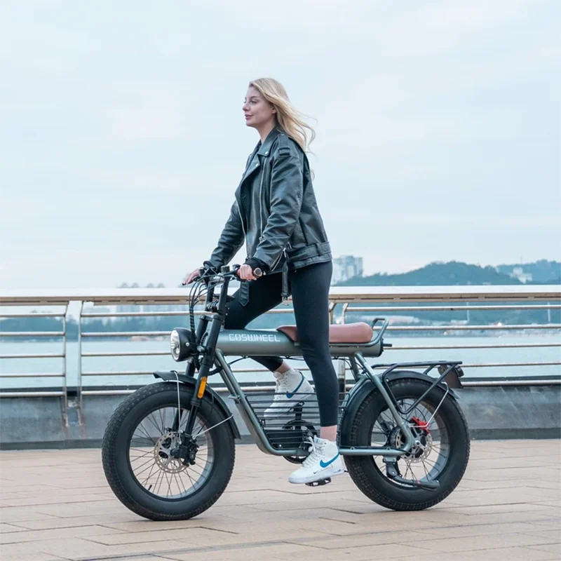 Coswheel 2000W Nový populárny model uvedený na trh s maximálnou rýchlosťou 55 km/h Elektrickým motorovým bicyklom s elektrickým bicyklom Elektrické bicykle Elektrický bicykel