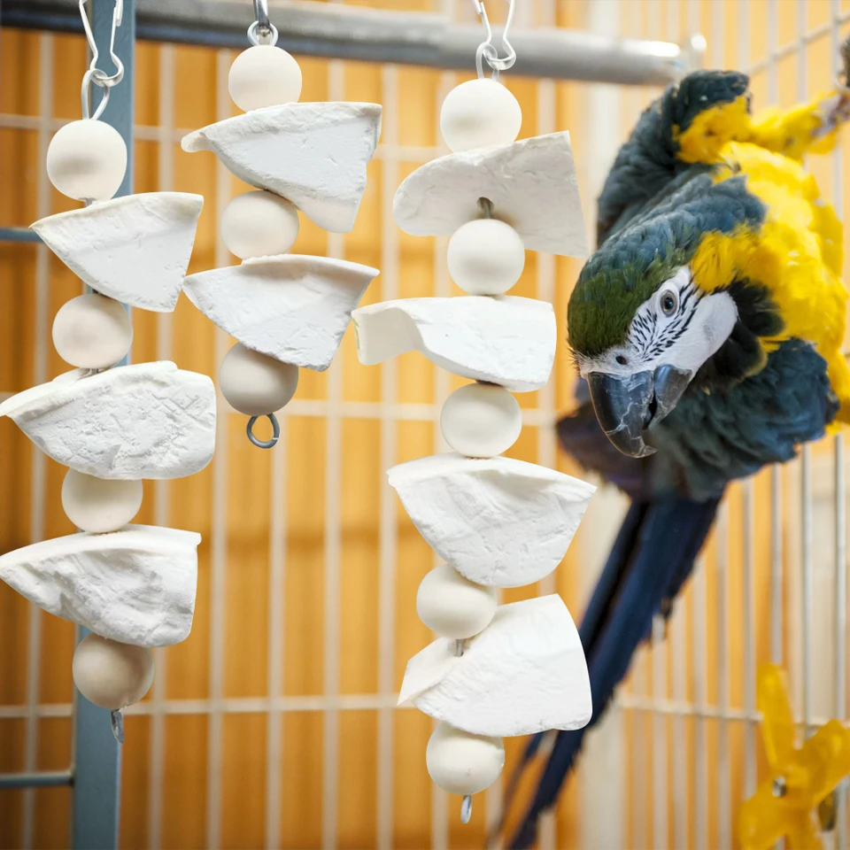 Cuttlefish Bone Bird Hanging Chew Toy Parrot Parrot zuby zuby