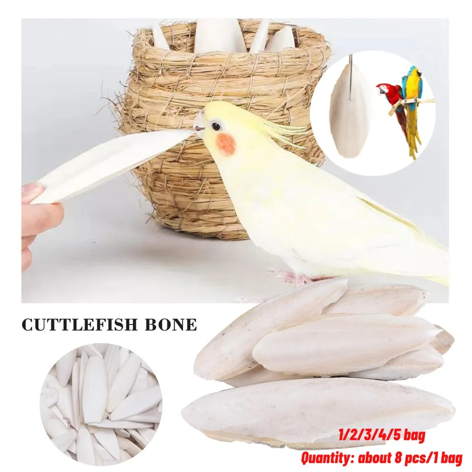 Cuttlefish Bone Prírodná sépová kosť papagáj pre žuvanie hračiek Parrot Parrot Doplnky pre papagáj z kohútikovej kohútiky