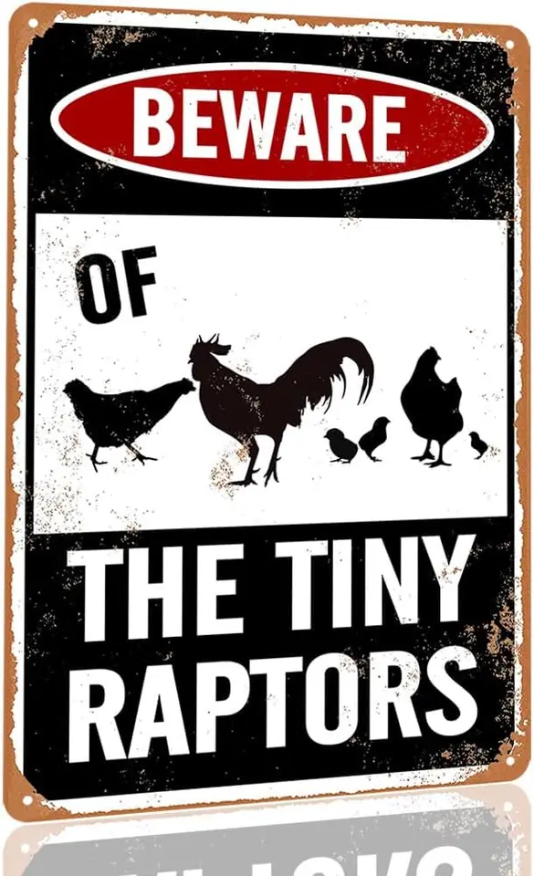 Dajte si pozor na kuracie značky kuracieho kuracieho kuracieho mäsa pre Coop Funny Outdoor Chicken Coop Signs Dajte si pozor na malé dravce Sign Chicken Coop