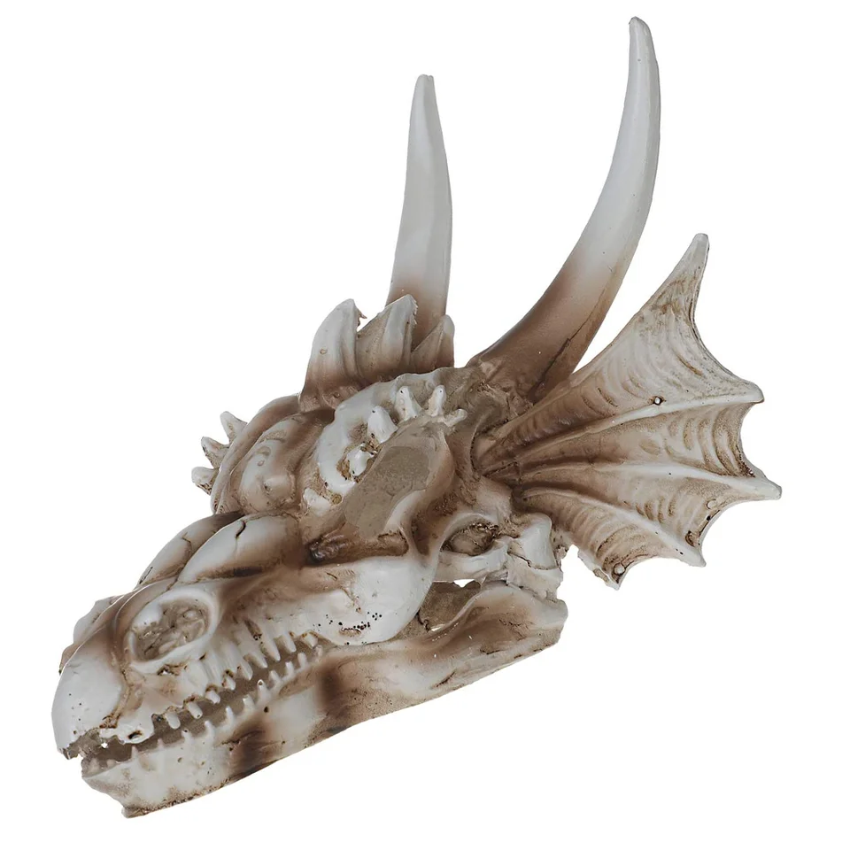 Dinosaur lebka Ornament Fish Tank doplnky Leopard Gecko Resin akvárium dekor