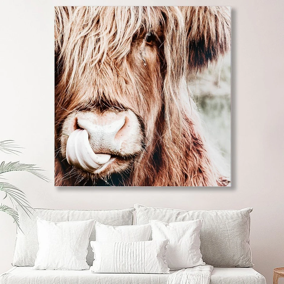 Divoké zviera Highland Plaght Plagr Canvas maľba výtlačky nástenné umelecké obrázky pre obývaciu izbu dekor bez rámu