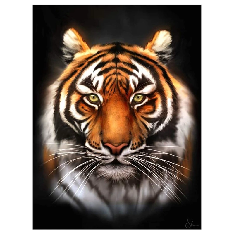 DIY 5D Diamond Painting Kit pre dospelých Diamond Art Kit, farba s diamantmi výšivok maľba krížového stehu-tiger