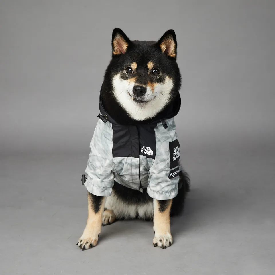 Dizajnérske psie oblečenie pre malé psov kapucňu North F bunda WindoProof Veľký pes Ražínky outfit Pet doplnky s 2xl 5xl