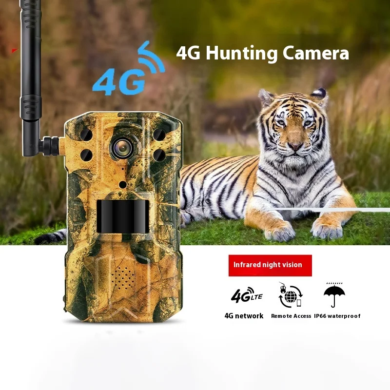 DL-T31 4G/WiFi-Hovná kamera Camera IP65 30MP 2K Outdoor Outdoor Wildlife Tracking Camera Fotoaparát monitorovanie fotiek