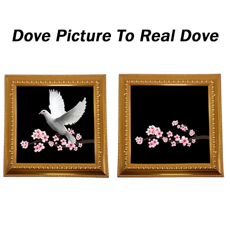 Dove Picture to Real Dove (Gold Frame) Stage Magic Triks Real Dove, ktorá sa objavuje výroba Magic Ilusions Gimmicks Mentalism Show
