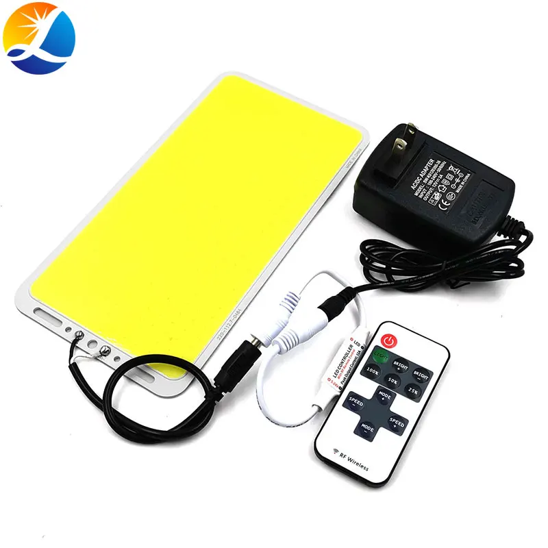 Dropshipping 220x113mm 100W LED panel Light COB doska s osvetlením DIY DIY 12V 110V 220V Domáca