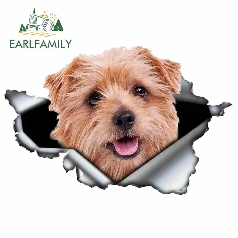 Earlfamily 3d Torn Metal Animal Auto Sticker Originálny dizajn Vinylová vtipná podpora vlastné nálepky DIY Creative Dog Cat Cat Bird Stickers