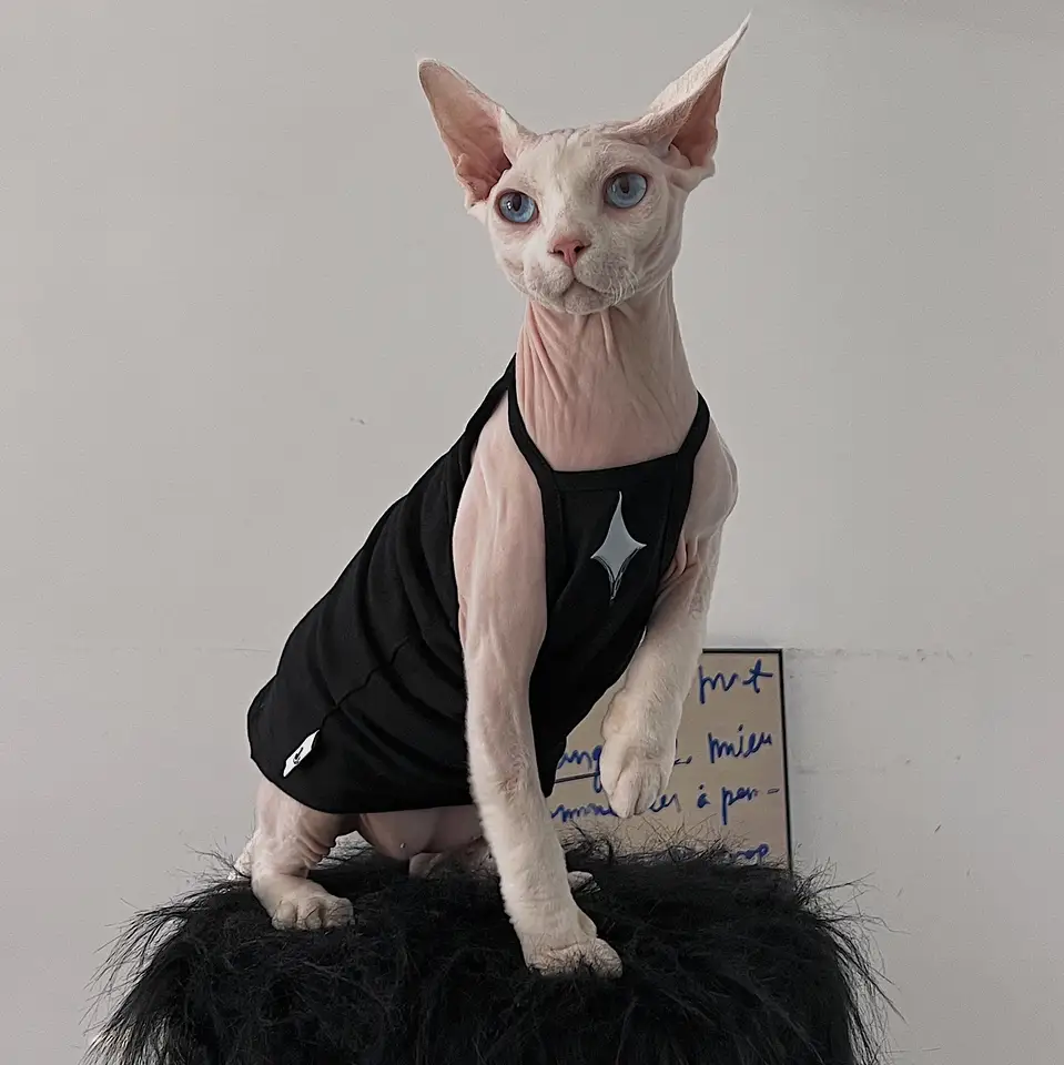 Fahsion štvorpolinkovaná hviezda letná bavlnená vesta pre sphynx mačacie oblečenie bez rukávov Cool tričko pre mačiatka mäkká kombinéza pre Devon