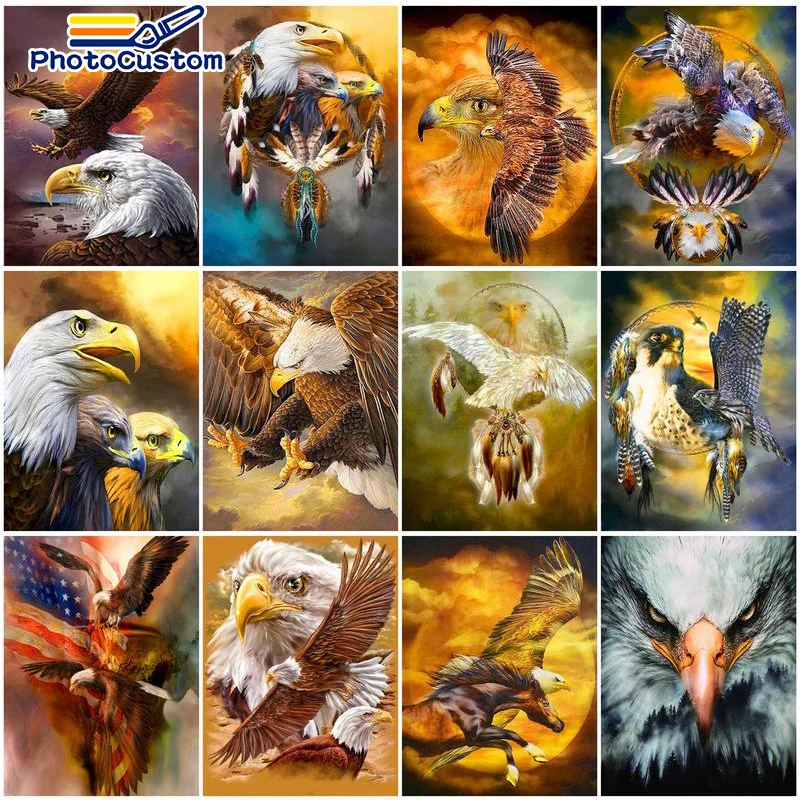 Fotocustom olejomaľba podľa čísla Eagle Animal na plátne akryl pre dospelých súprav