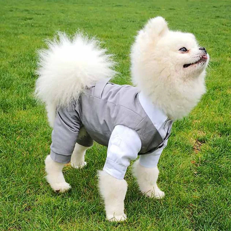 Gentleman Dog Clothes Svadobný spoločenský oblek formálny košeľový plášť pre malé psy Pet Pet Outfit Halloween vianočný kostým
