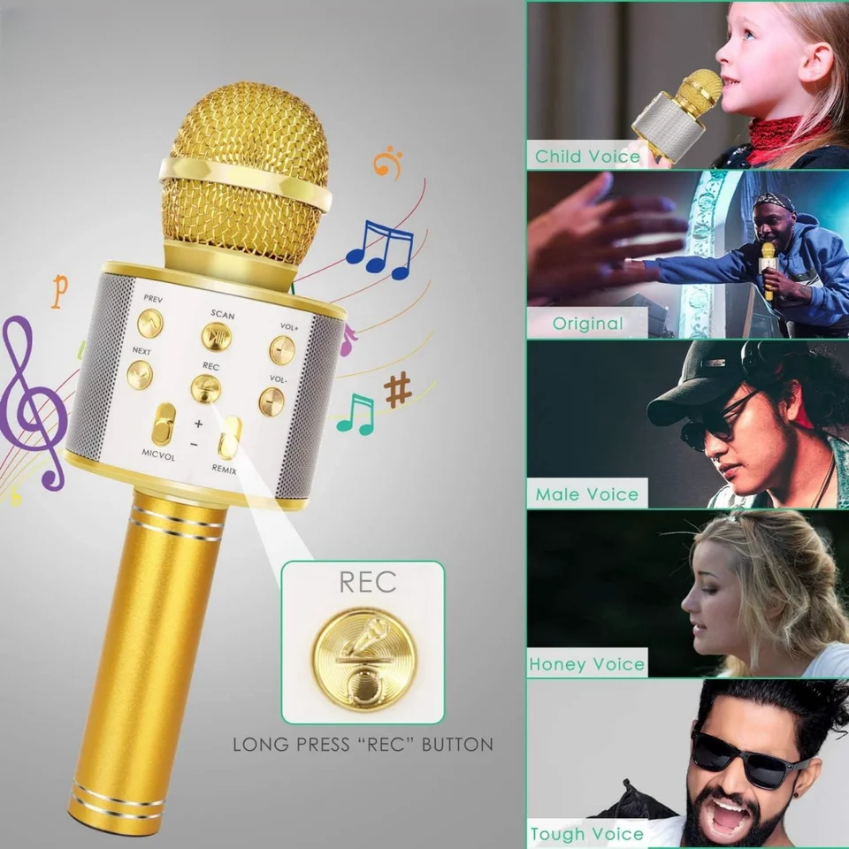 Golden Kids Karaoke Mikrofón Nabíjateľný reproduktor Bluetooth s mikrofónovým prenosným hlasovým meničom bezdrôtového mikrofónu pre deti