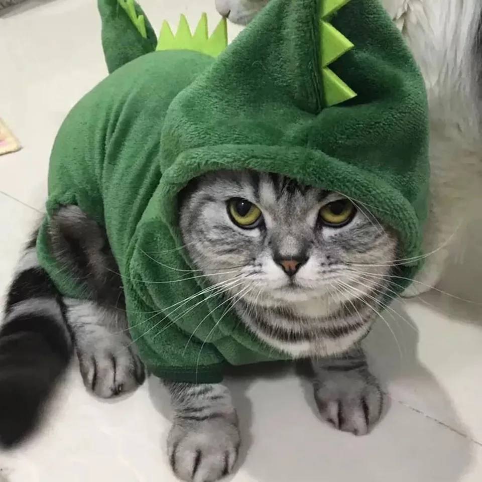Halloween Cat Costume Dinosaur Cat Hoodies Small Dog Teplá bunda mačka vianočné kostýmy Pet oblečenie pre šteňa mačiatko červené zelené