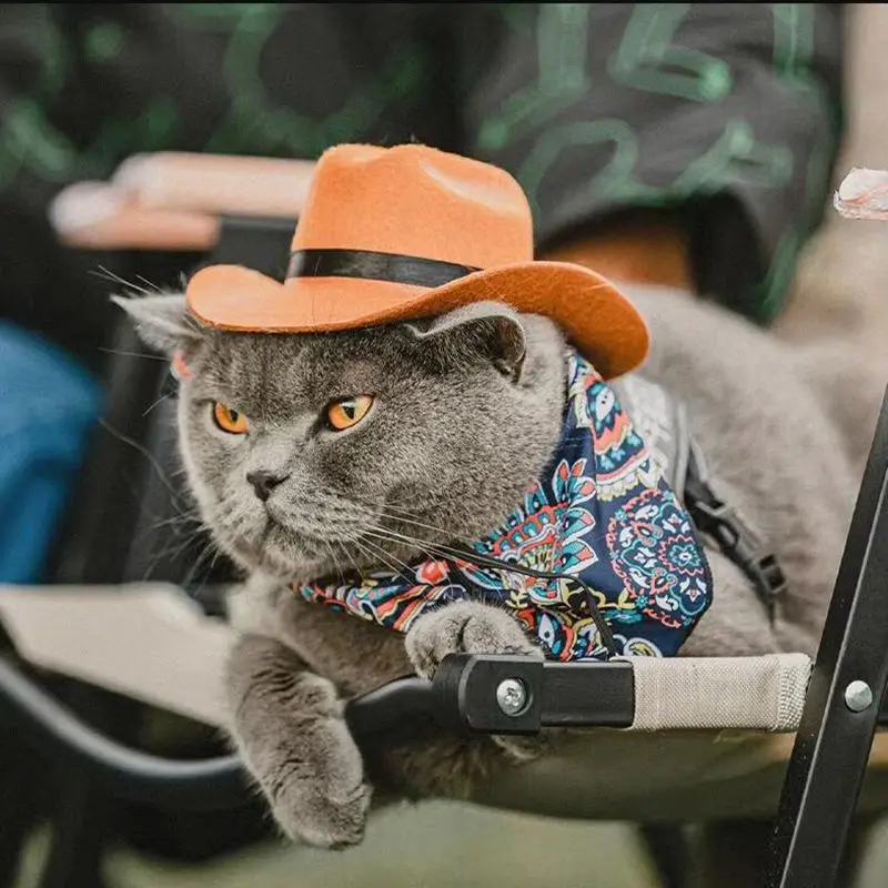 Halloween Dog Cat Western Cowboy Hat
