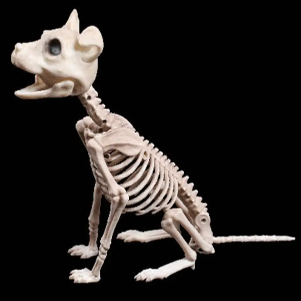 Halloweenská mačka kostrová dekorácia Spooky Halloween Decor Decor Set Poha Mini kostné sochy Pes/mačka/potkan/pavúk pre strašidelné