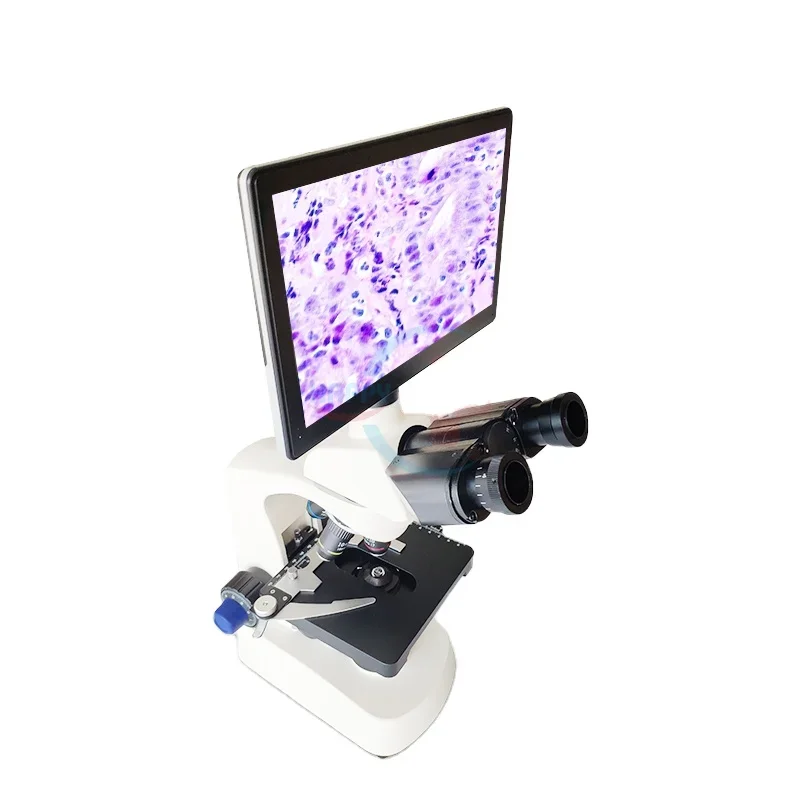 HC-B079A s vysokým rozlíšením LCD zobrazuje elektronický biologický digitálny mikroskop pre laboratórium
