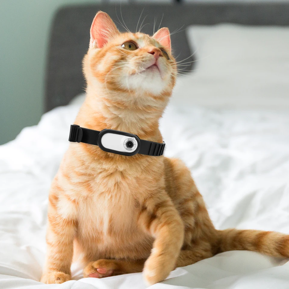HD 1080p Dog Tracker Collar No WiFi potrebný psie mačička Pet Camera Camera Camera Camera Video záznamy pre mačky Dogs