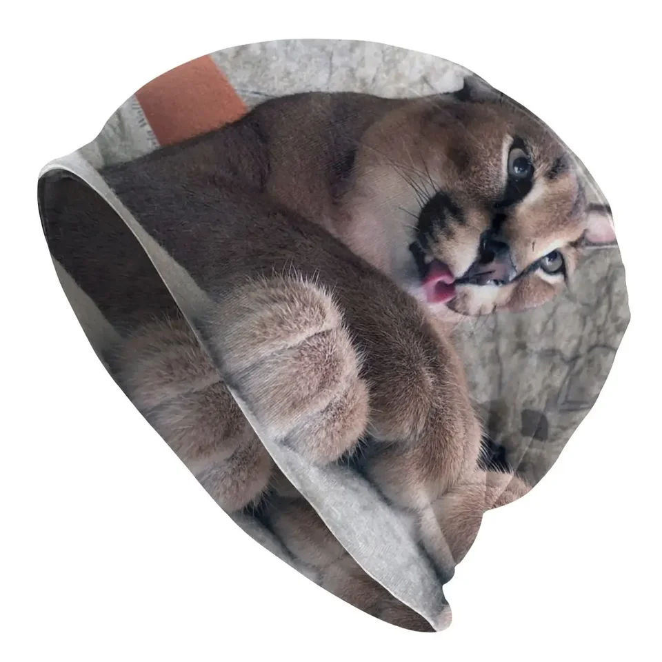 Hip hop zimné teplé muži Ženy pletené klobúky unisex dospelé roztomilé karacálne mačky lebky čiapky čiapky veľké klobúky floppa meme klobúky