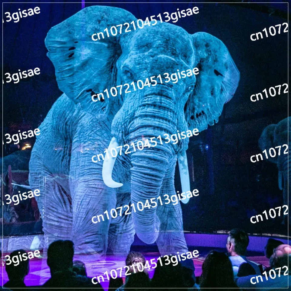 Holografická sieťová výstava 3D pre hologram, Cirkus Display, Svadba