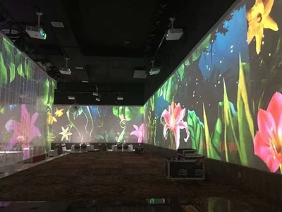 Holographic Screen 3D Hologram sieťová obrazovka DWT/DGT 2*3M