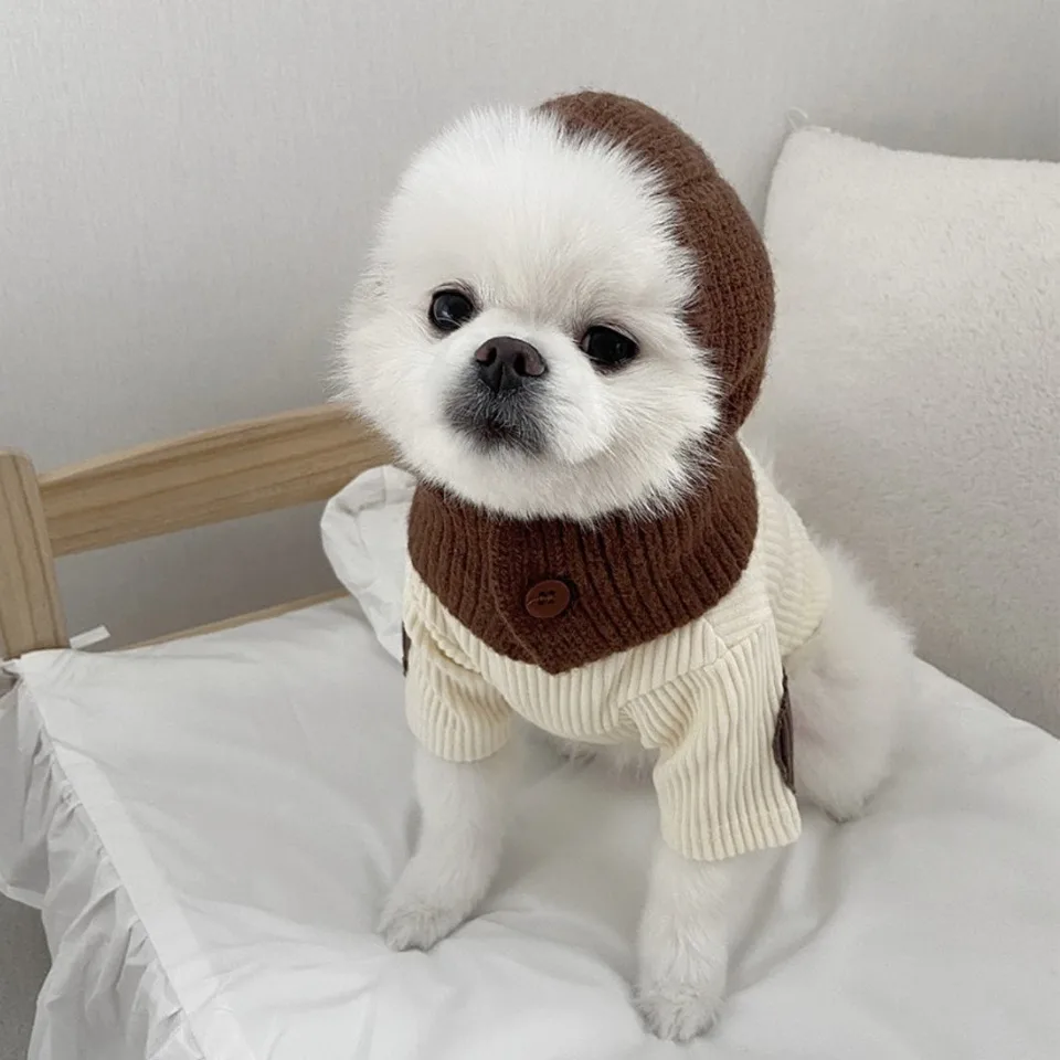 Ins Pet Worth Cover hlava pletený klobúk roztomilý jeseň a zimná mačka pre psie malá psa dekorácie plyšové psie doplnky