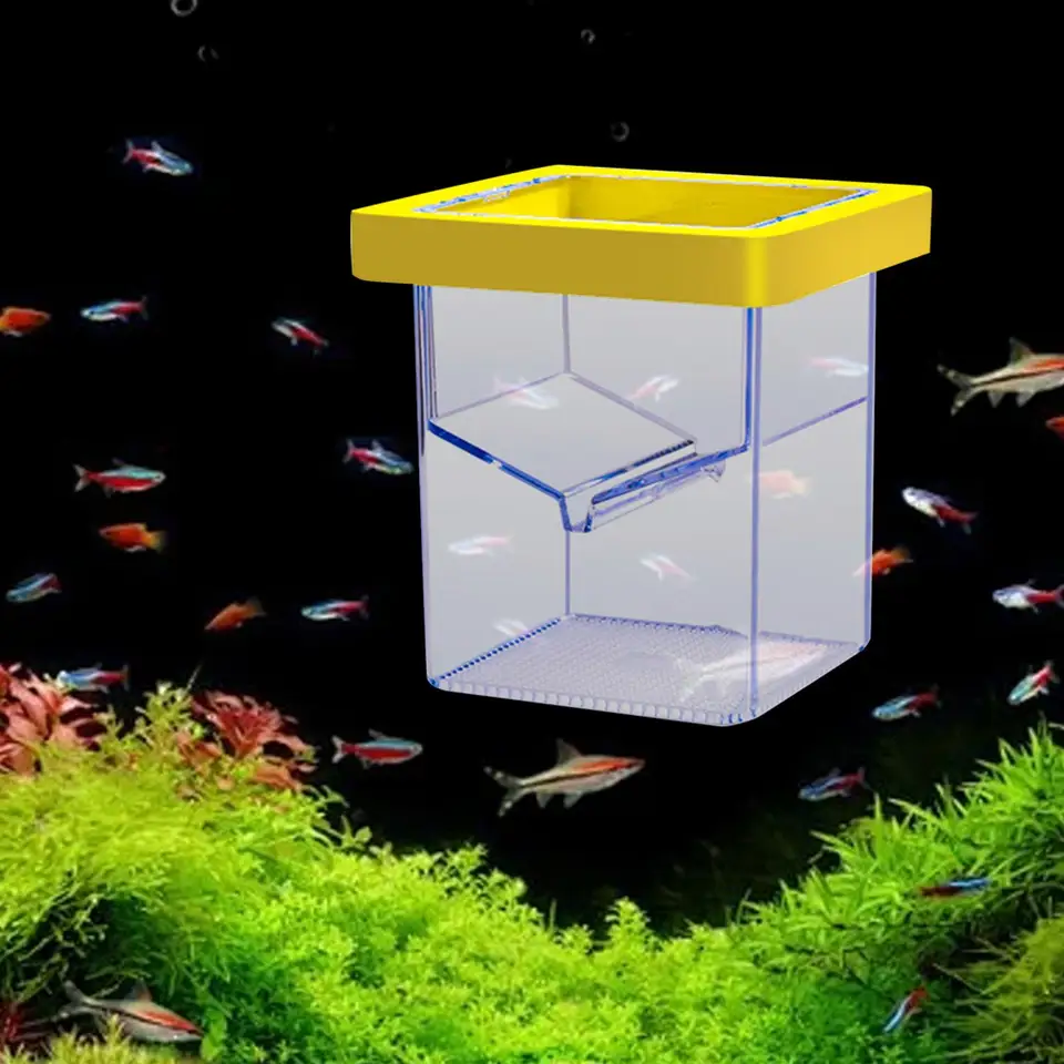 Izolácia rýb Izolácia rýb izolácia rýb plávajúce separačné liaheň