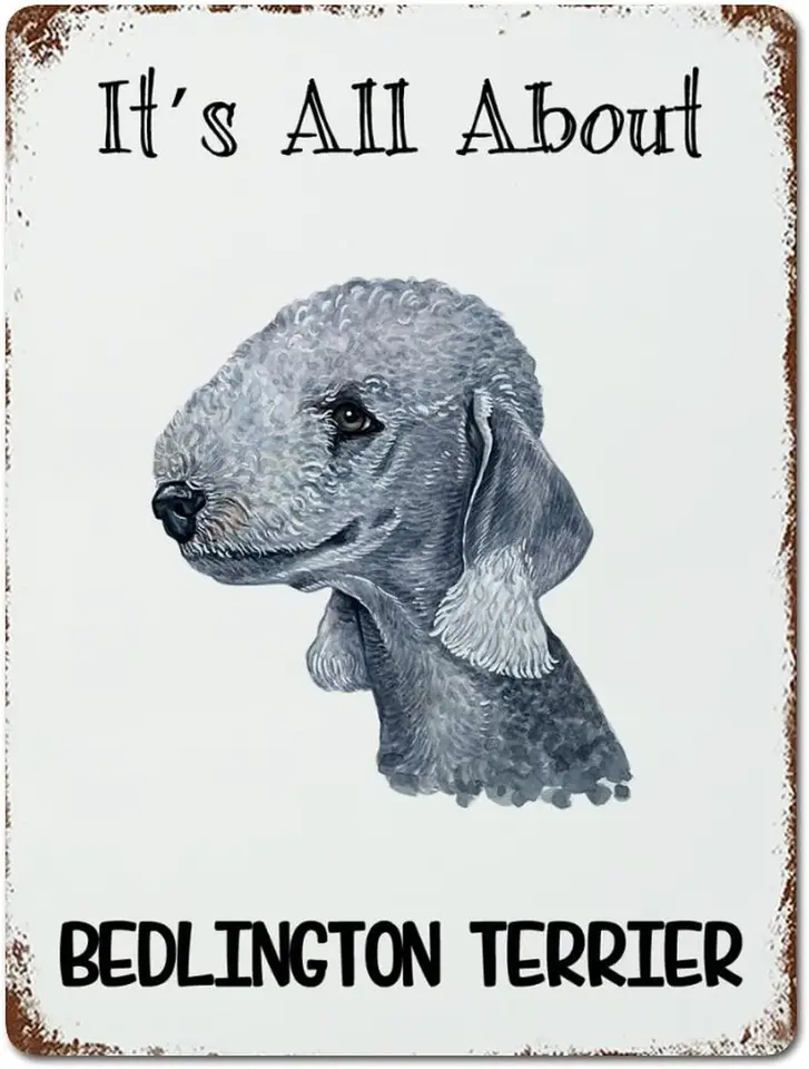 Je to všetko o Bedlington Terrier znamenie kovové znamenie Watercolor Peeking Dog Opgns Cin Signs Majiteľ psov kovová tanier značka kaviareň Bar krčma