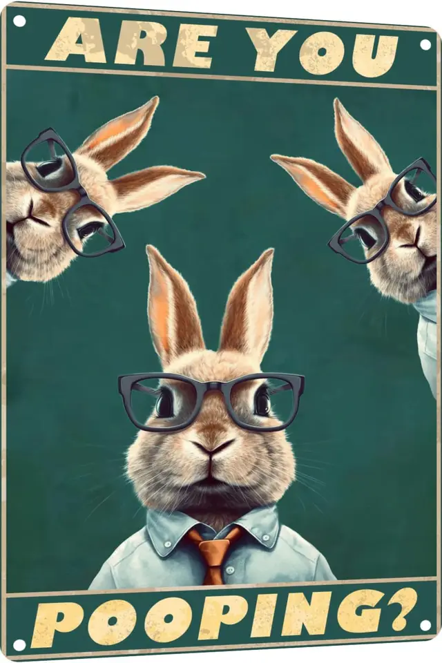 Kovový znak hraničný králik ste hovno podpis vintage vtipný znak retro hliníkové plechové značky pre domácu farmu záhradný bar kúpeľňový kitc