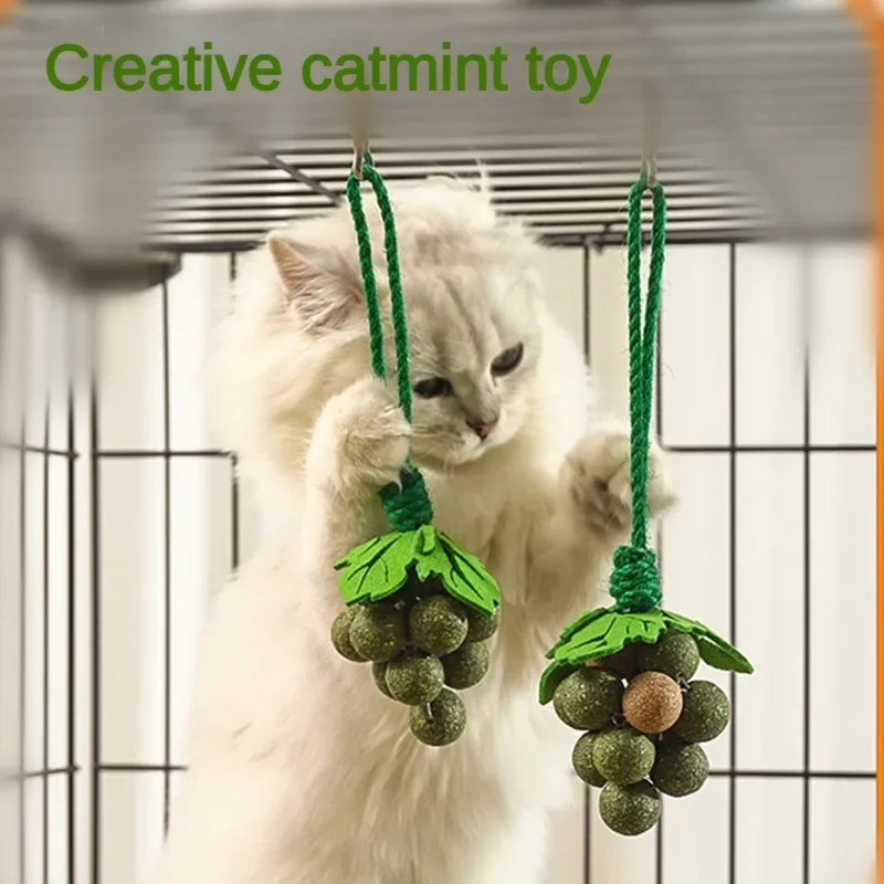 Kreatívne nové hračky pre catnip, pumperint hroznové špajle, mačacie palice, zubné a sústo odolné hračky s ovocnými ovocnými mačkami