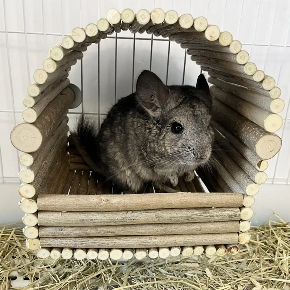 Králikový škrečok House zuby brúsenie prírodných drevených vetiev tkania chaty č.