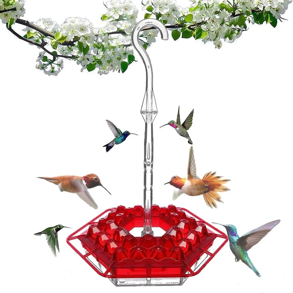 Kábrik kolibríka, kŕmenie kolibríka z zvonenia, kŕmne kŕmne vtákov pre vonku visiace mravce a včelie
