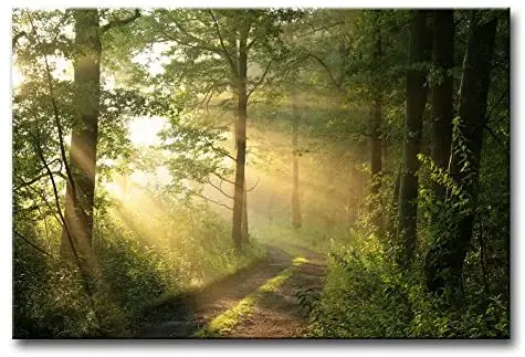 Lesné nástenné umenie moderné plátno maliar dom dekorácie Picture Tree Fog Ranná jarná krajina plátno umenia stena dekorácia