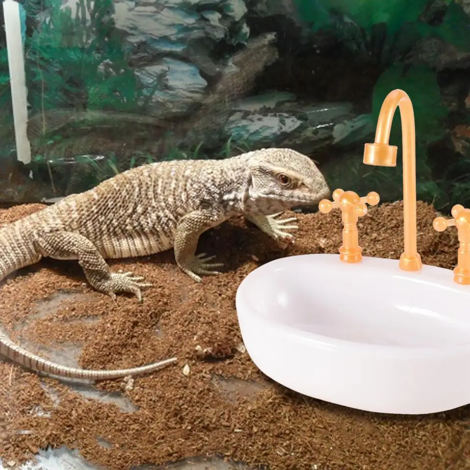 Lezenie Pet Water Basin ľahko čistiteľná misa odolná kŕmna misa pre jašterice korytnačky Hermit Crabs, ktoré nie sú špinavé na lezenie na lezenie