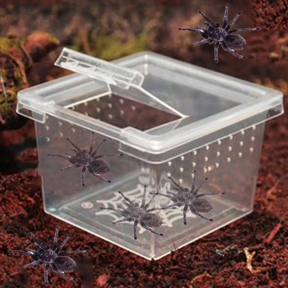 Lizard Reptile Chov Box s preklopným krytom priehľadné priedušné pre žaby hadí pavúky Prenosné plazové terárium biotop