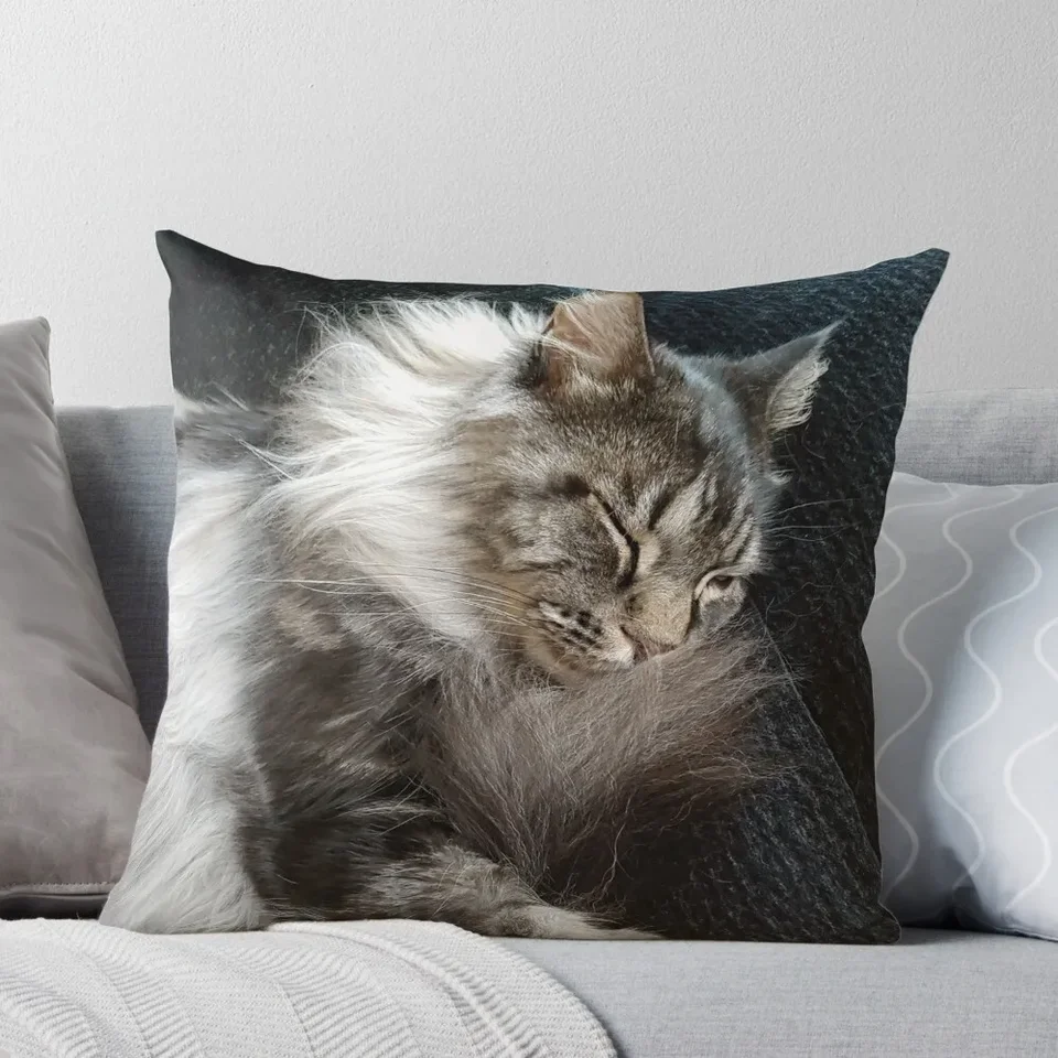 Maine Coon Cat hádzať vankúše Ozdobné vankúše pre obývaciu izbu Vianočný vankúš na domáce vianočné ozdoby pre dom 2024