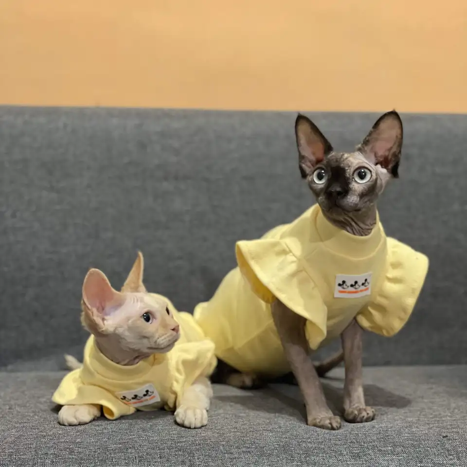 Mačky oblečenie mäkká bavlna roztomilá žltá vesta pre sphynxovú mačku krátke rukávové rukávy pre rukávy na mačiatka letné šaty pre mačky