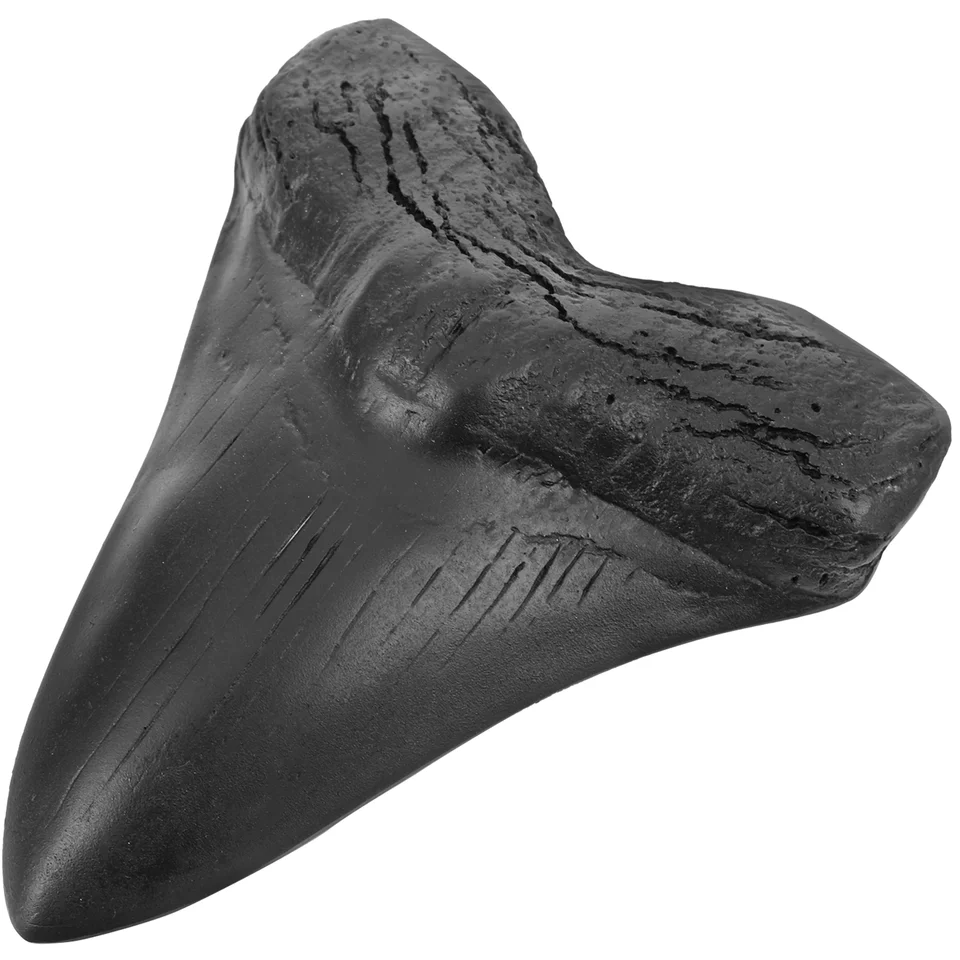 Megalodon zubný gigant žralokov zuby replika teeeth modela dekoratívne simulovaný čierny študent