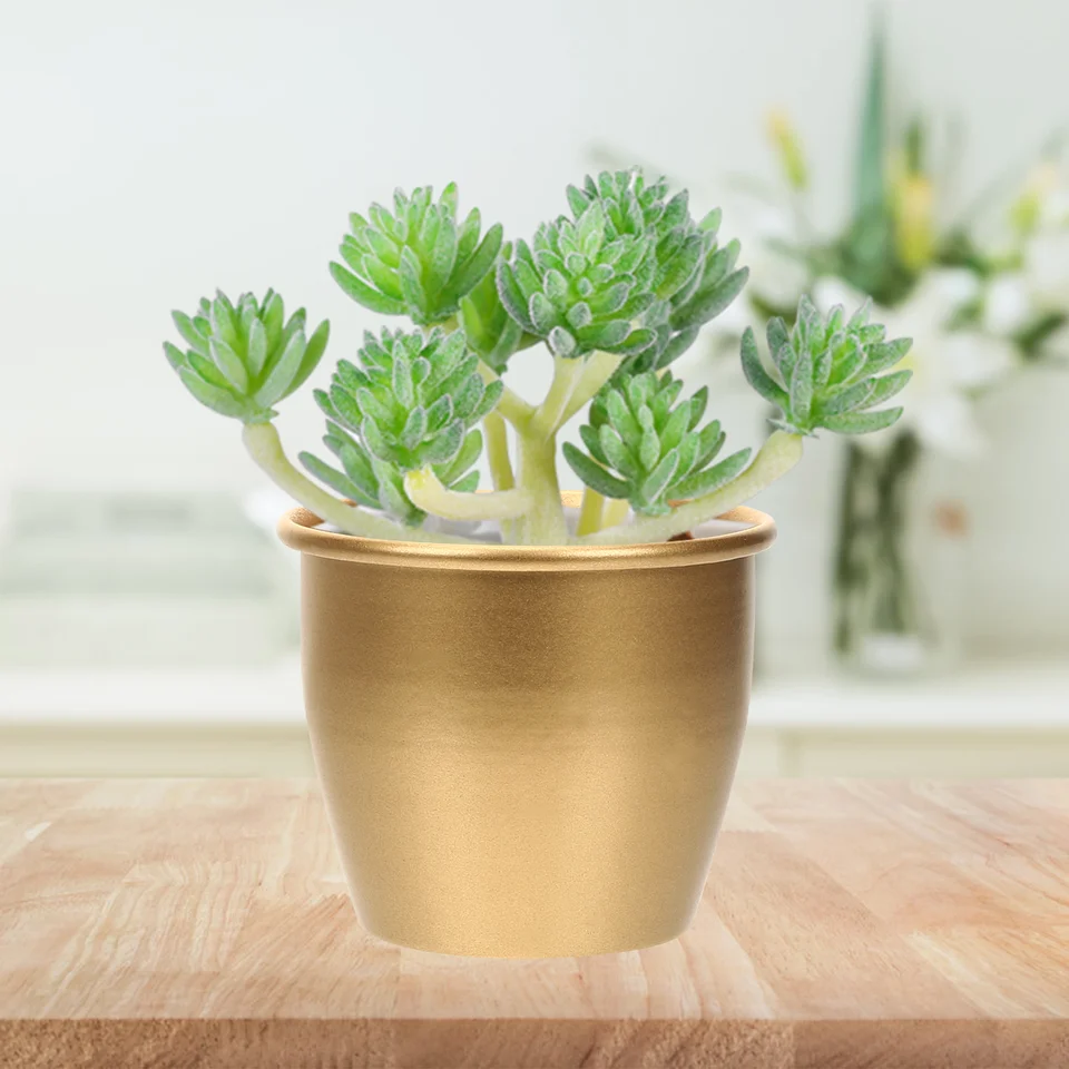 Mini Flower Pot Gold Pettery pre vnútorné rastliny držiak vzduchu sukulentné kvetináče malé kaktusy