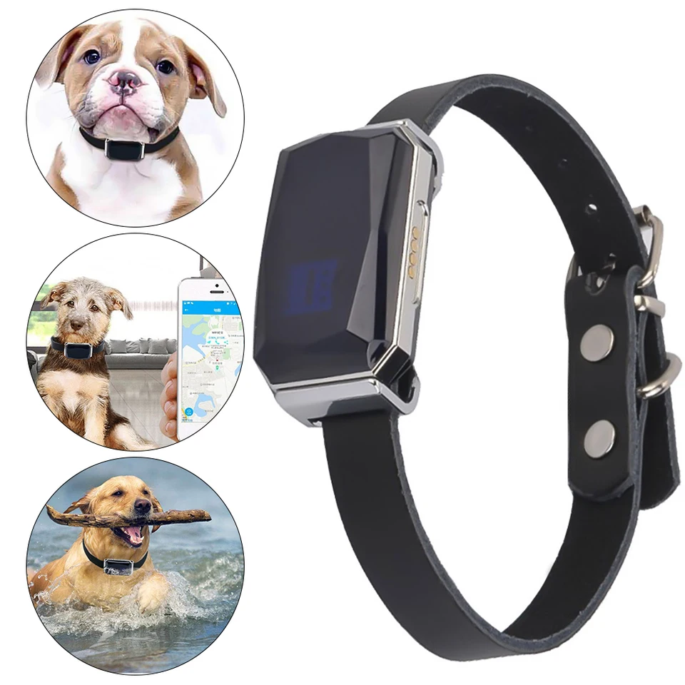 MINI LBS Tracker Pet GPS Tracker DIBE DIBE CONTROWN ANTI-LOST WORPORPLE LOOKÁTOR Sledovanie v reálnom čase pre domáce psie deti deti