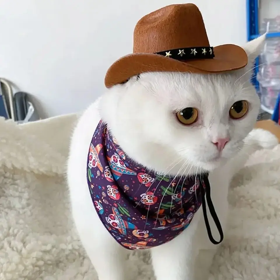 Mini Pet Cowboy Hat Funny Dog Cat letný klobúk nastaviteľné psov mačky Mačky pokrývky psa Kostý
