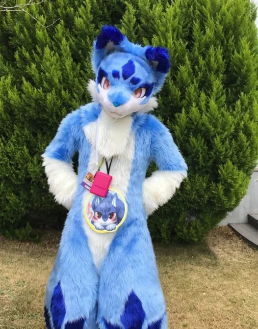 Modrý fursuit líška psa husky cosplay maskot kostým karikatúry halloween outfit fancy šaty propagačné