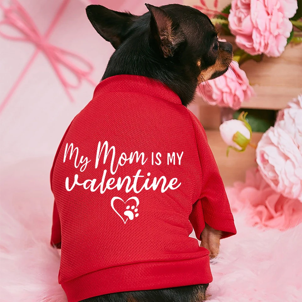 Moja mama je môj valentínsky domáci psík oblečenie na Valentína Dogs Outfits Hoodies francúzsky buldog pre šteniatko so stredným psom oblečenie darčeky