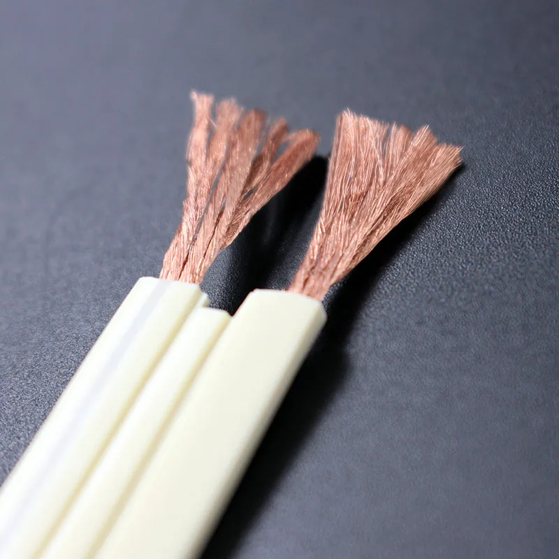 Monster XP Flat 840 Kábel Core Core Cable Cable Soft Soft 2 * 420 Core HiFi Oxygen Free Copper Horúčka Hladina reproduktora kábla